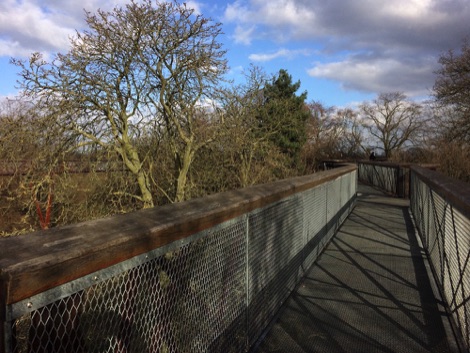 On the Kew Gardens Treetop Walkway